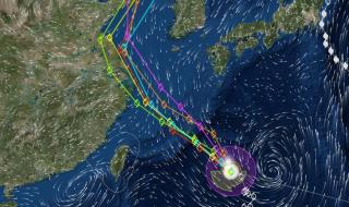10级台风有多大威力 10级台风有多大威力