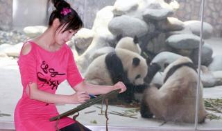 李壮平的神女系列油画 李壮平的神女系列油画